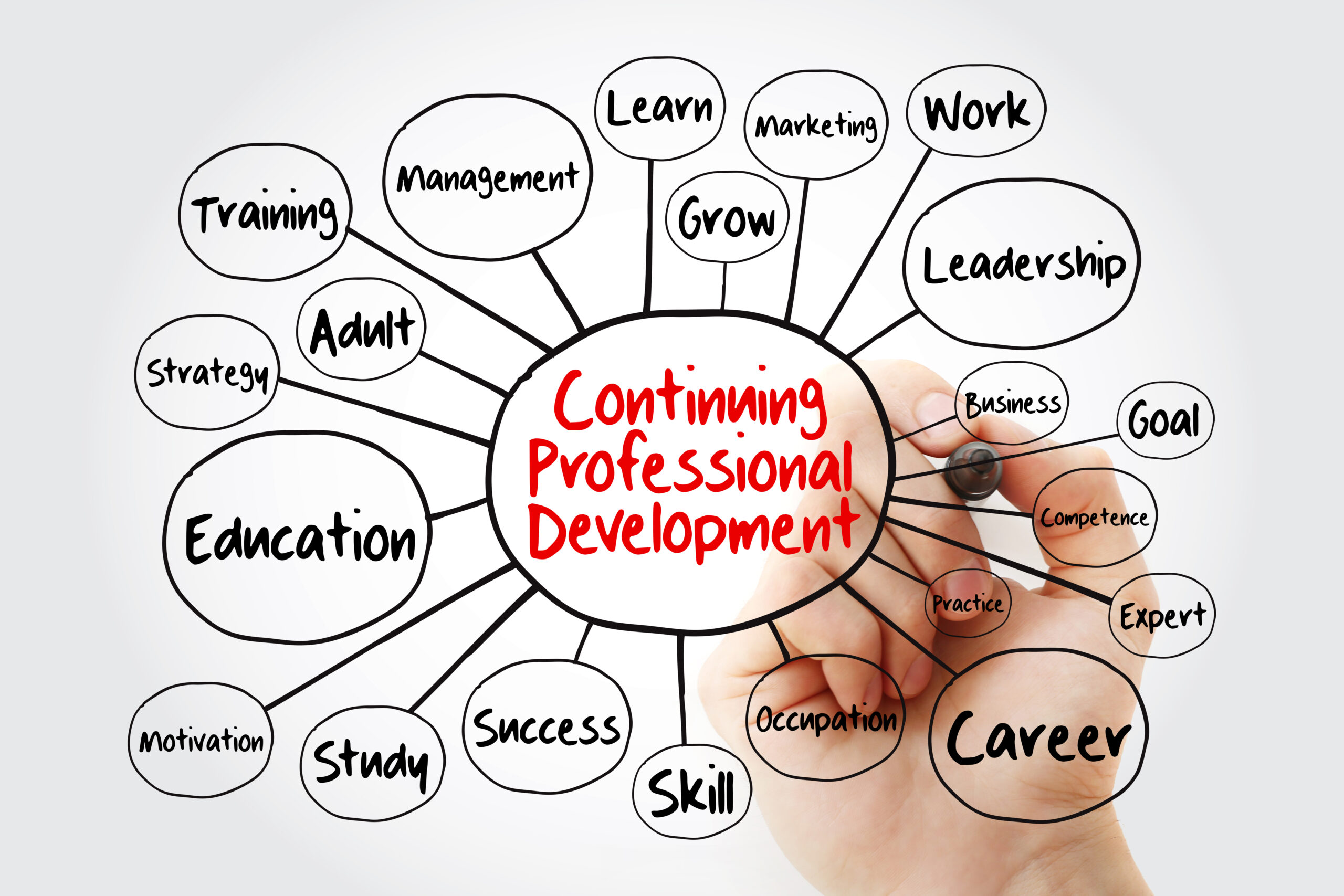continuing professional development